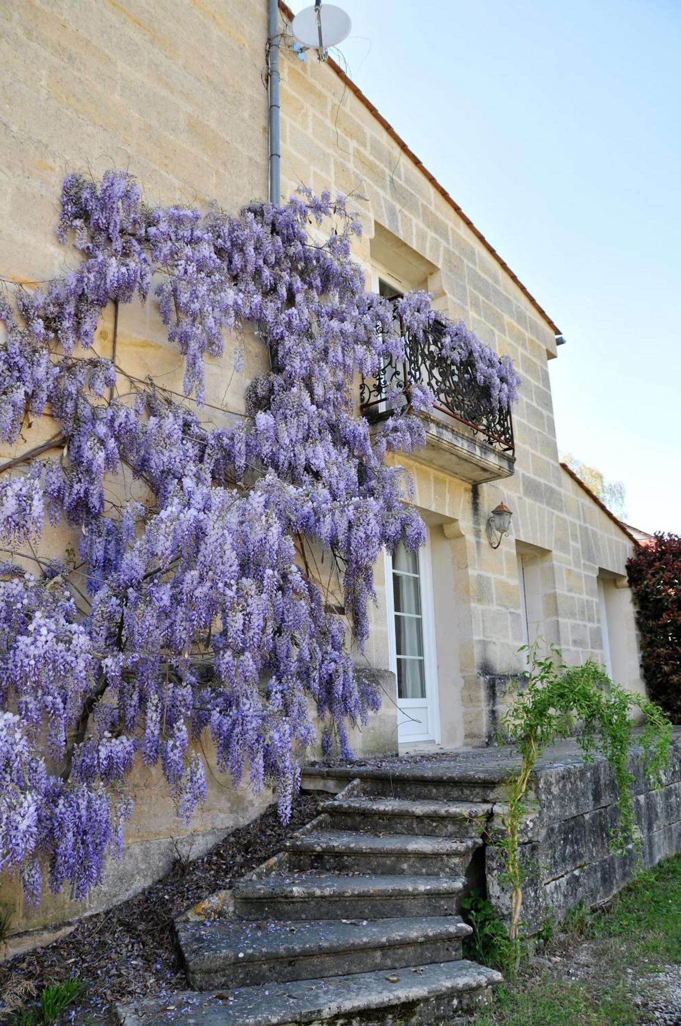 Buisson Gite Et Chambre D'Hote Laruscade Exterior foto